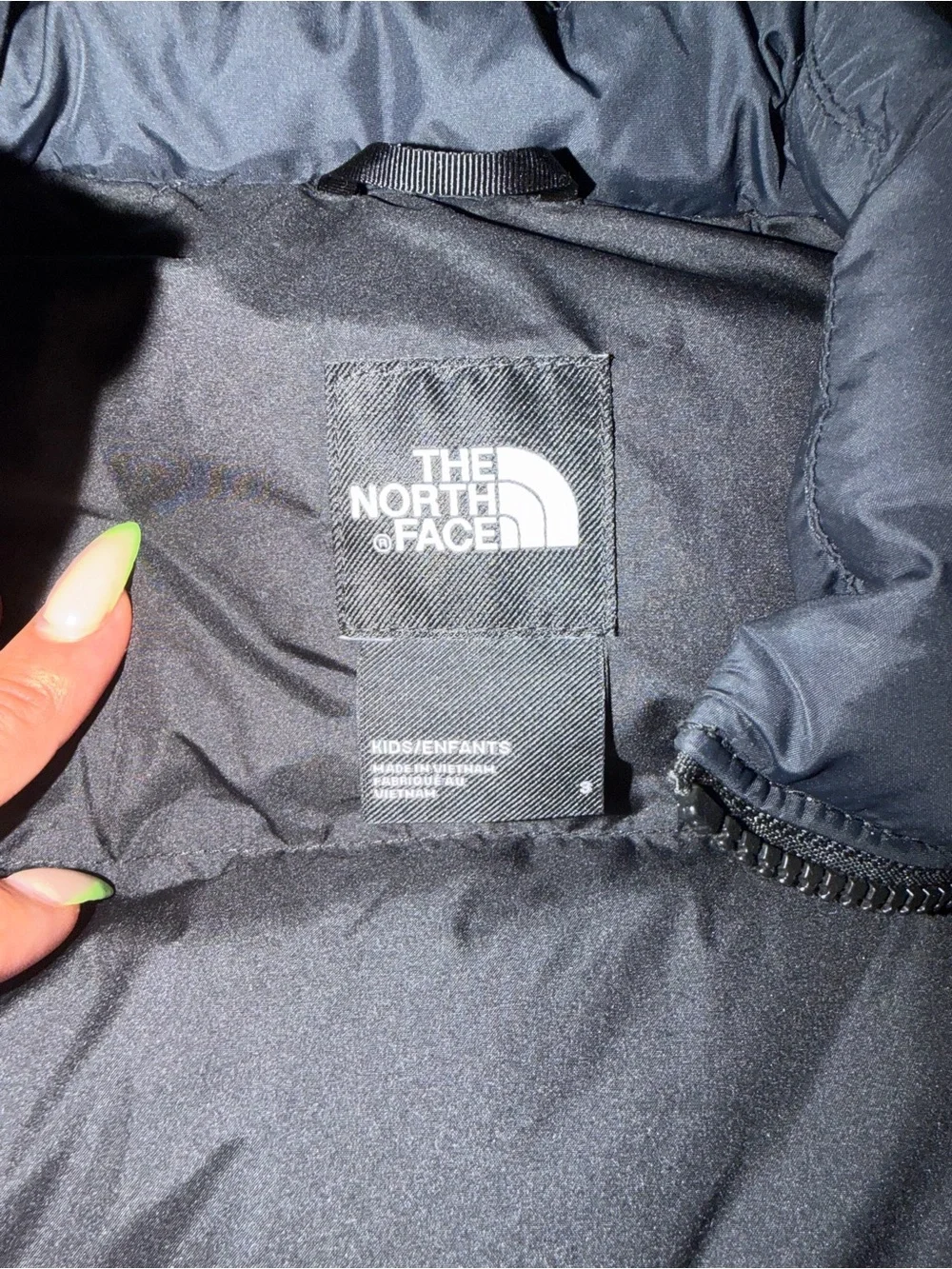 The North Face Classic 700 toddler Puffer Jacket